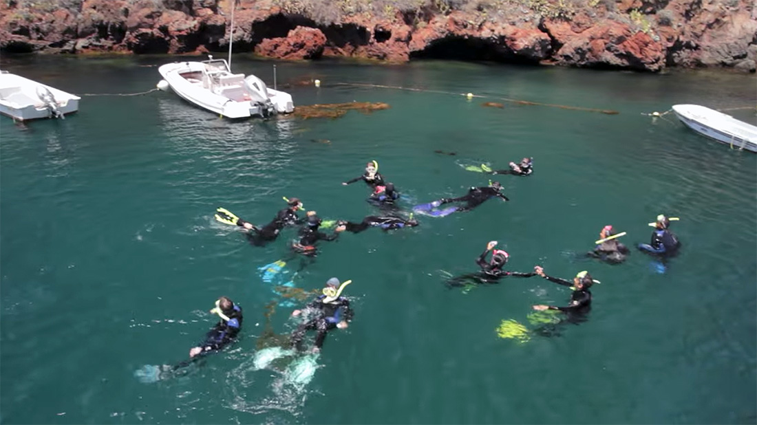 See how LMU freshmen got a three-week jump start in science and research skills, including a field trip to Catalina Island where they swam with sharks (harmless ones) and came back to tell the story. It was all part of the Seaver College ACCESS program.