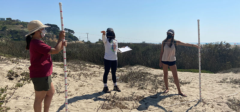 Three students setting up measuring poles in the sand at a beach