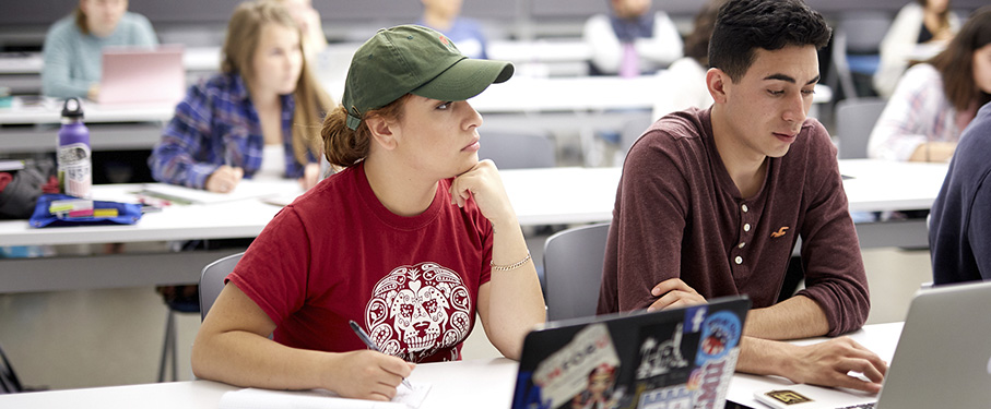 Students in class