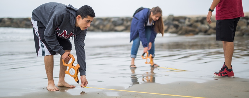 ACCESS students on the beach