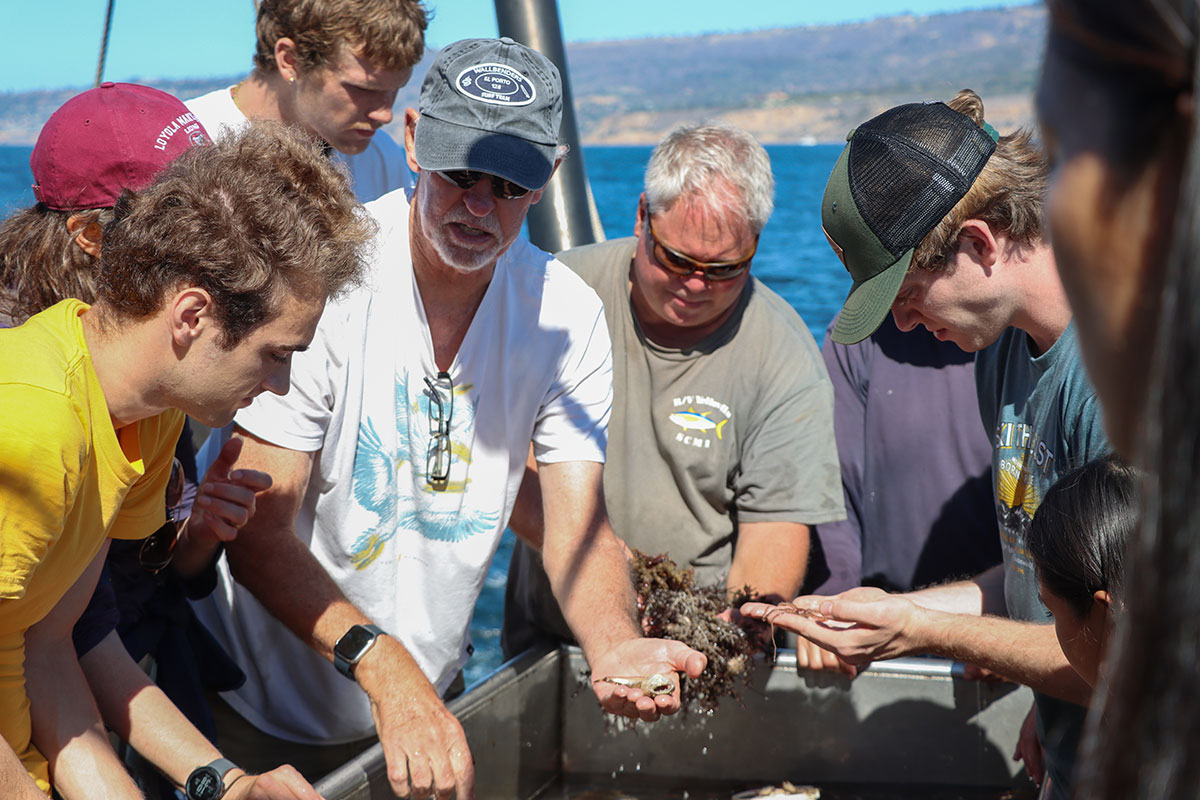 faculty and students on boat looking at sea life