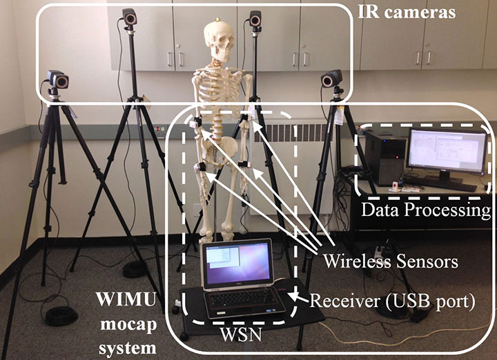 A motion capture system placed on a skeleton using a wireless sensor network of inertial-magnetic units and infrared cameras that track reflective markers